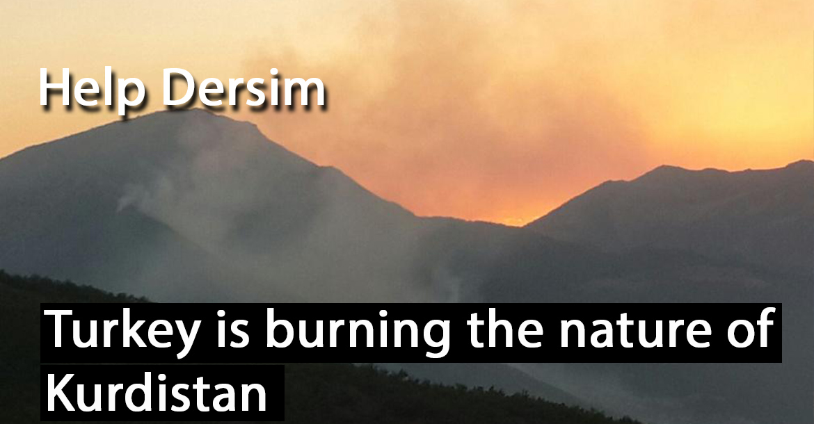 Kurdistan is burning