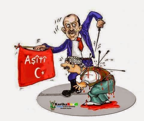 DOMATESİN KOÇANINA *fit* OLAN AYI...