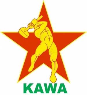 Kamuoyuna