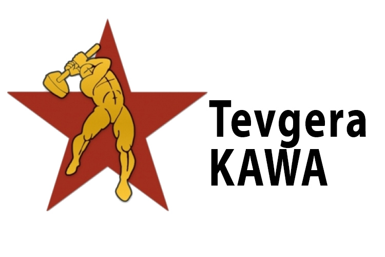 Kürdistan Kamuoyuna