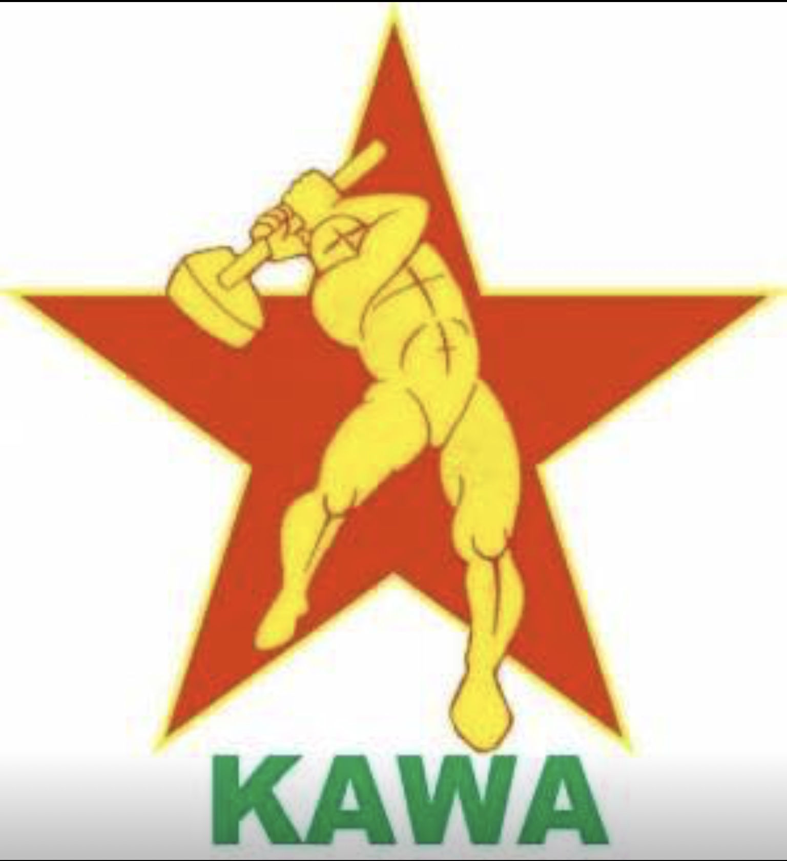Kürdistan Kamuoyuna