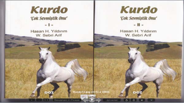 Selim Çürükkaya / Kurdo'yu ve Kurdis'i sevdim! (aktarma)