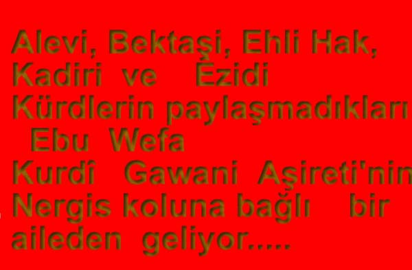 Büyük Filosof  ve Din Alimi   Ebu Wefa  Kurdî  Gawani Aşiretindendi.(8)