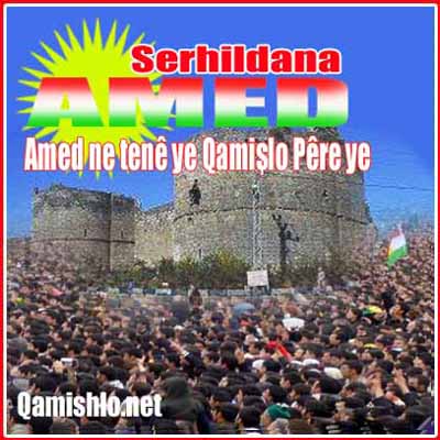 Piştgirî ji bo Serhildana Amed u Bakurê Kurdıstan