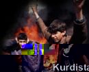 Kürt Merkezi Milli Siyaseti Gereklidir.