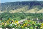 BAŞURÊ KURDISTAN -6-