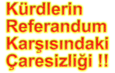Türklerin Referandumuna İlişkin Tavır