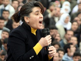 Anırdılar!