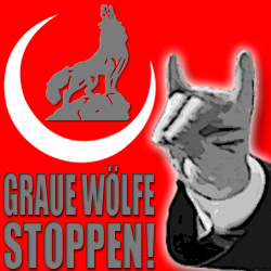 Graue Wölfe im Visier
