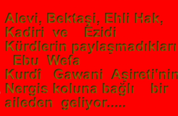 Büyük Filosof  ve Din Alimi   Ebu Wefa  Kurdî  Gawani Aşiretindendi.(8)