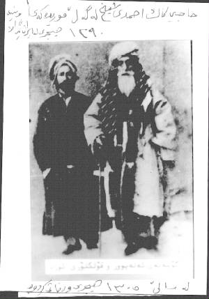 Şeyh  Ubeydullah Nehri,    Bağımsız ve Birleşik Kürdistan Fikri(19)