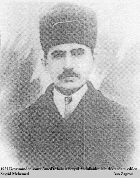 Şeyh  Ubeydullah Nehri,    Bağımsız ve Birleşik Kürdistan Fikri(22)