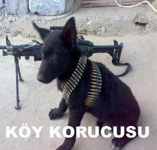 Bir Çalışmadan Bir Parça / Eyyup Cülér