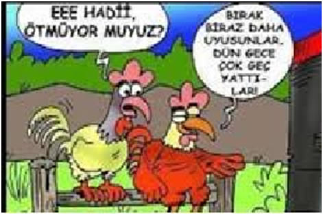BDP ANAYASA TASLAK ÖNERİSİ KÜRDİSTAN/KÜRTLÜĞÜN BUHARLAŞMASI
